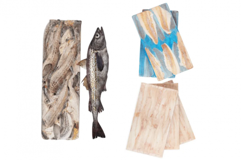 歐洲"爆單"！中國鱈魚現(xiàn)貨價(jià)飆升，每噸高出合同價(jià)300美元